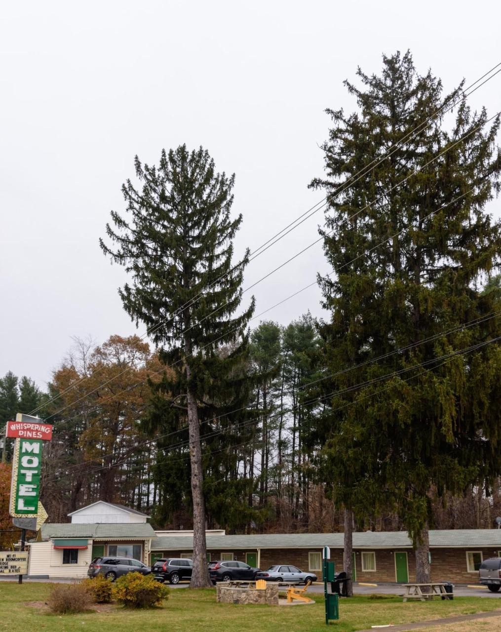 Whispering Pines Motel - Asheville Bagian luar foto