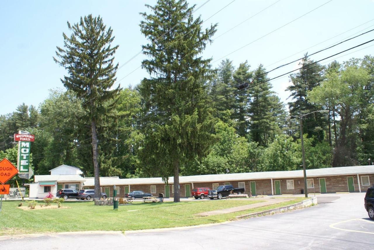Whispering Pines Motel - Asheville Bagian luar foto
